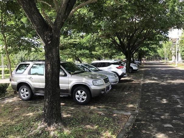 Parking area at Human College (left) and Science & Engineering College (right) with tree shade. (Taitung University)