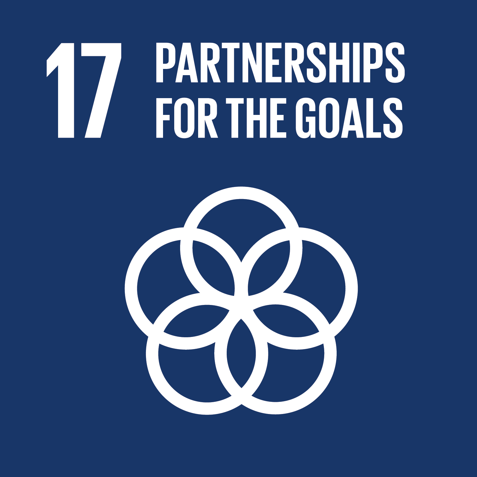 17.促進目標實現之全球夥伴關係