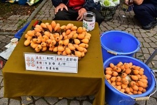 Program 8: Reduce the plastic bags usage at the Farmers’ Market (every Tuesday 11:00-14:00) at NTTU. Encourage students bring reusable bags to buy fruits. The total price will be 0.1 USD off if the buyer doesn’t need a plastic bag. .(Taitung University)  