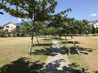 Pedestrian path between administration building and general education building. (Taitung University)
